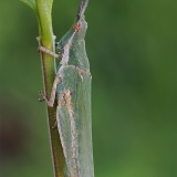 [node:title] | Fotografas Gintautas Steiblys