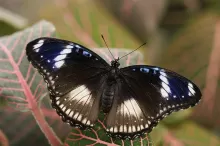TEST 1